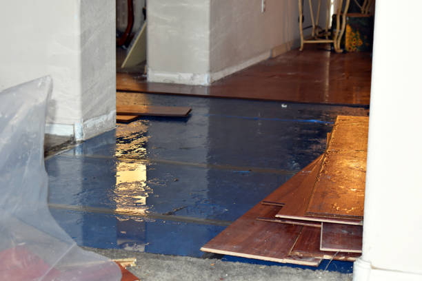 Professional Burst Pipe Cleanup technician working in Orr, MN